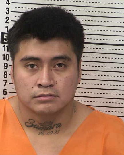 LUIS ANGELES SANCHEZ mugshot - Las Cruces arrest booking photo, Doña Ana County