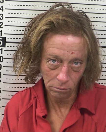 JILL TUCKER mugshot - Las Cruces arrest booking photo, Doña Ana County