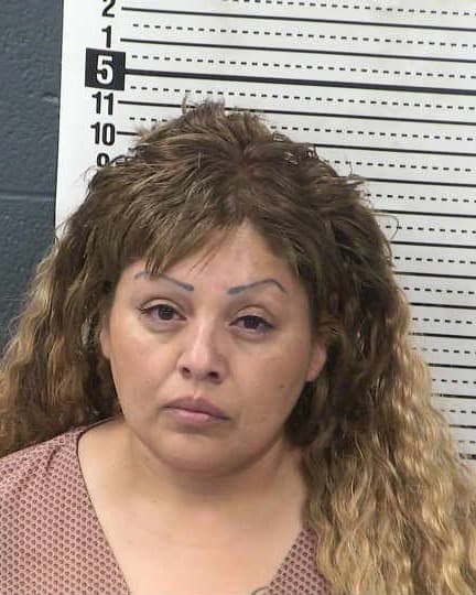 PAULA ORTIZ mugshot - Las Cruces arrest booking photo, Doña Ana County