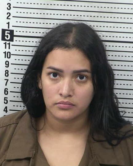 EDNNY VILLAMIZAR-NEIRA mugshot - Las Cruces arrest booking photo, Doña Ana County