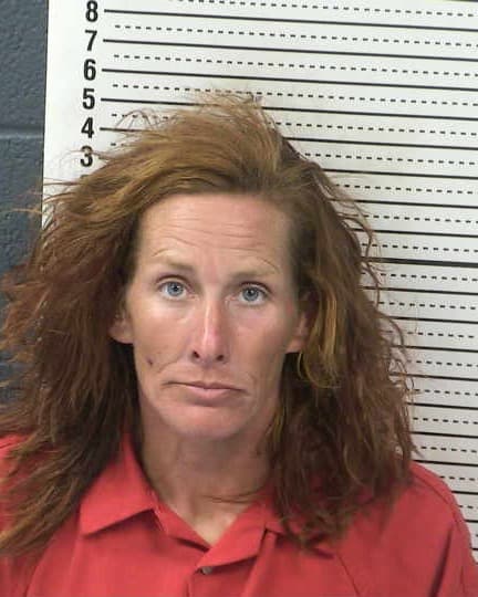 STEPHANIE EVERSON mugshot - Las Cruces arrest booking photo, Doña Ana County