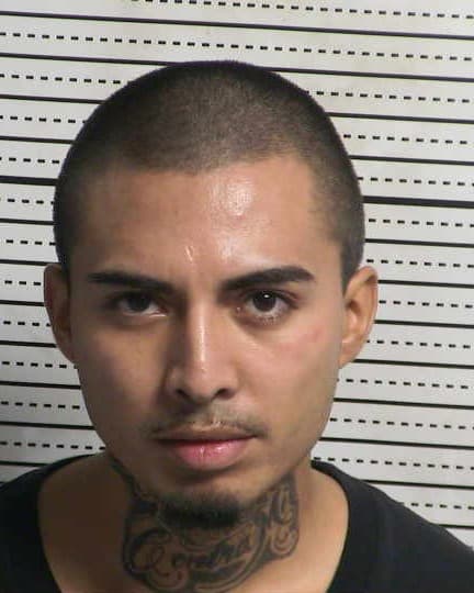 DAYAN ALCANTAR mugshot - Las Cruces arrest booking photo, Doña Ana County