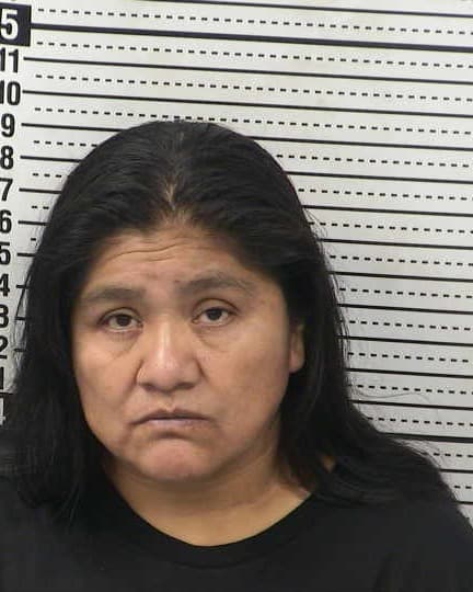 LUCIA GUZMAN-LOPEZ mugshot - Las Cruces arrest booking photo, Doña Ana County