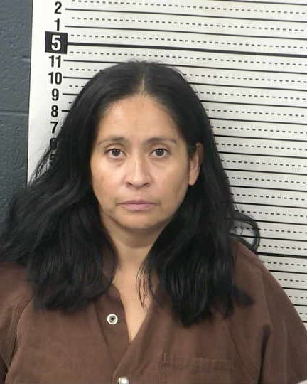 SANDRA MARTINEZ-ANDRACA mugshot - Las Cruces arrest booking photo, Doña Ana County