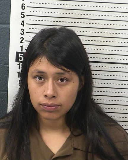 ALICIA NUNEZ-JACOBO mugshot - Las Cruces arrest booking photo, Doña Ana County