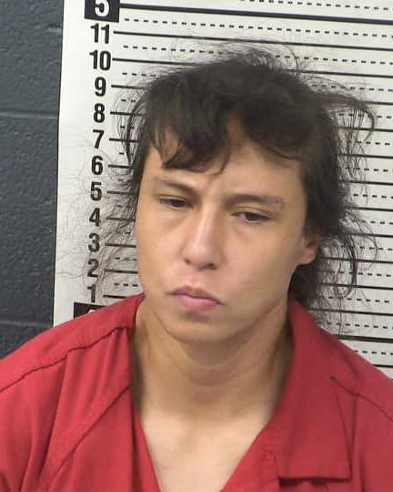 DAYSI GARDEA mugshot - Las Cruces arrest booking photo, Doña Ana County