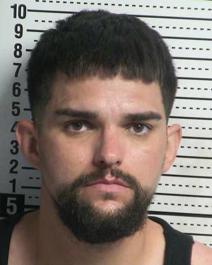 REECE NATHANIAL ALANIZ mugshot - Las Cruces arrest booking photo, Doña Ana County