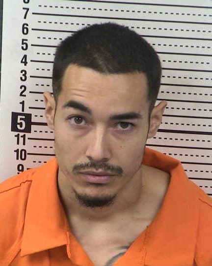ELIAS SILVA mugshot - Las Cruces arrest, Doña Ana County