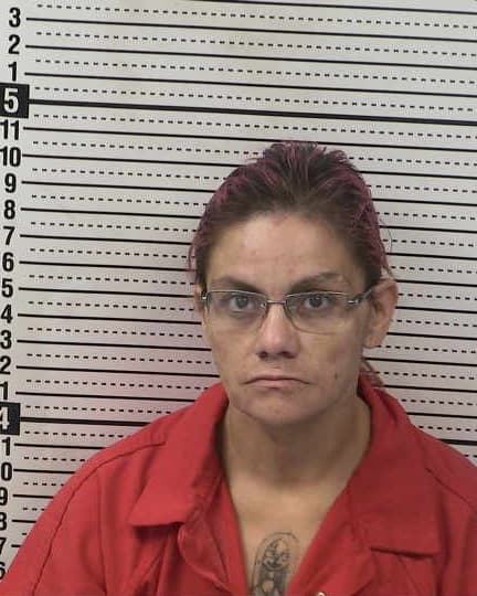 MARLENE SANCHEZ mugshot - Las Cruces arrest, Doña Ana County