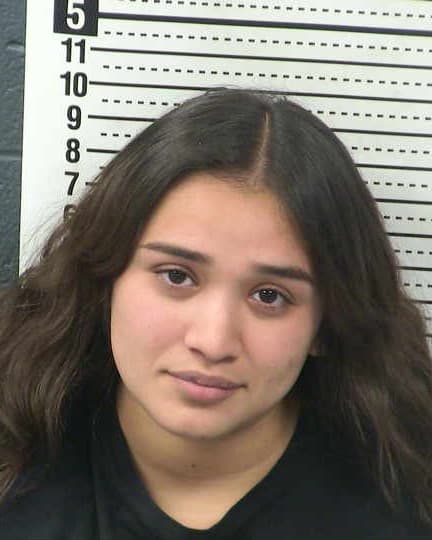ANGELINA HERNANDEZ mugshot - Las Cruces arrest, Doña Ana County