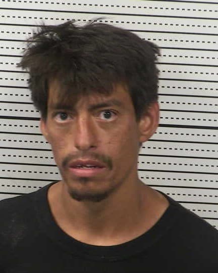 HANSON DENNIS mugshot - Las Cruces arrest, Doña Ana County