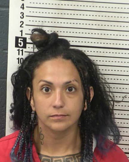 SARAH PORTILLO mugshot - Las Cruces arrest, Doña Ana County