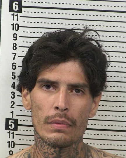DARIO CHAVEZ mugshot - Las Cruces arrest, Doña Ana County