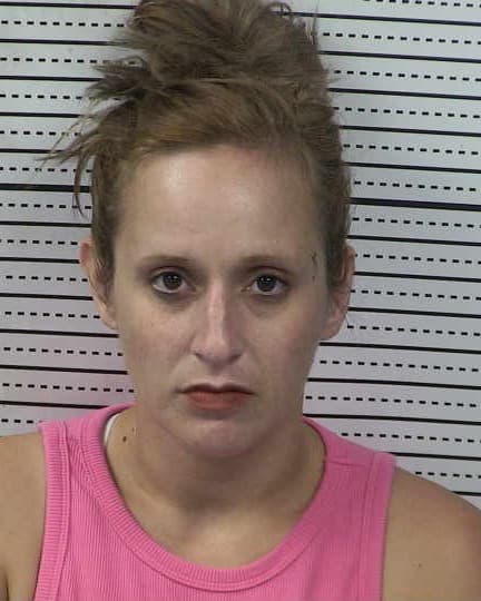LISA HOLGUIN mugshot - Las Cruces arrest, Doña Ana County