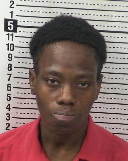 ROYNISHA VANDIVIER mugshot - Las Cruces arrest, Doña Ana County