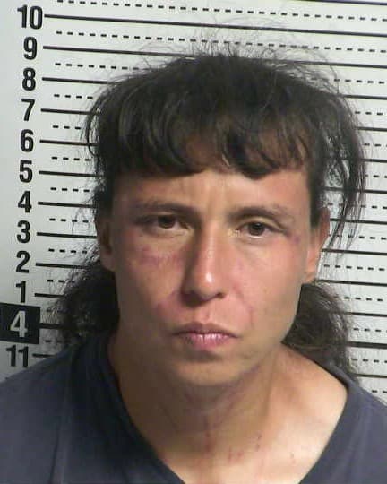 DAYSI GARDEA mugshot - Las Cruces arrest, Doña Ana County