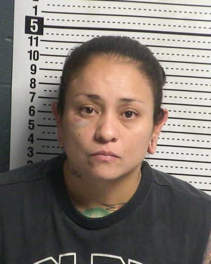 NICOLE HOLGUIN mugshot - Las Cruces arrest, Doña Ana County