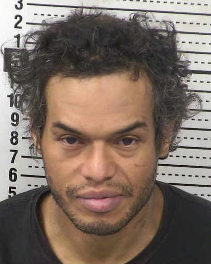 LOGAN MINTZ mugshot - Las Cruces arrest, Doña Ana County