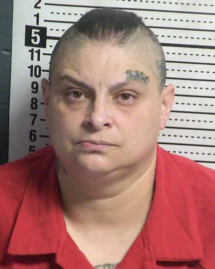 LIZA ROSALES mugshot - Las Cruces arrest, Doña Ana County