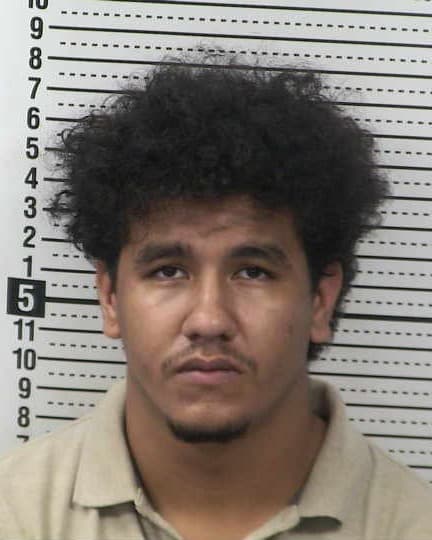 DIEGO CAMERO mugshot - Las Cruces arrest, Doña Ana County
